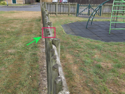 Photo11a