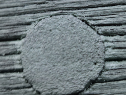Photo16