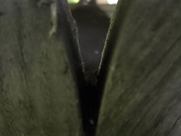 Photo18