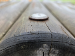 Photo40